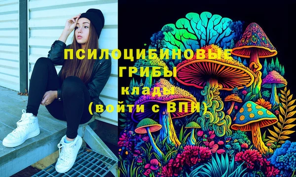 Альфа ПВП Алексеевка